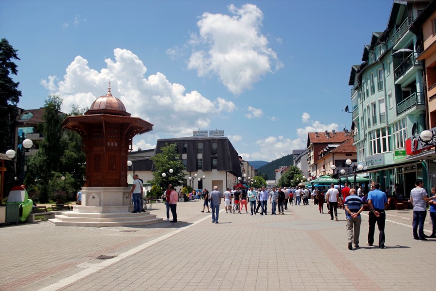 Bijela kuga u 15 opština u Crnoj Gori